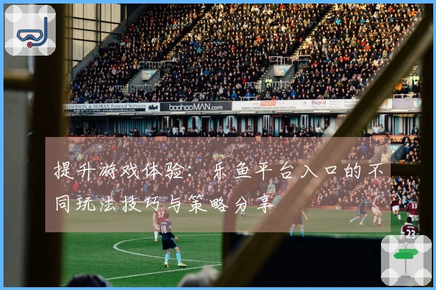 提升游戏体验：乐鱼平台入口的不同玩法技巧与策略分享