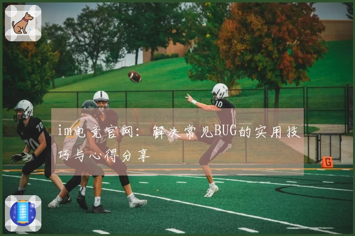 im电竞官网：解决常见BUG的实用技巧与心得分享