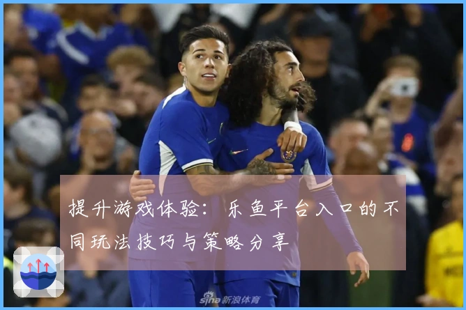 提升游戏体验：乐鱼平台入口的不同玩法技巧与策略分享